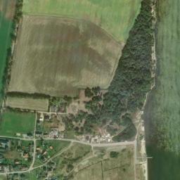 Satelita