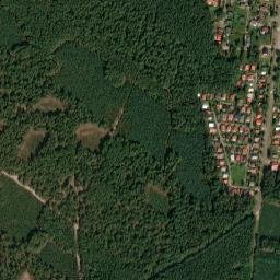 Satelita