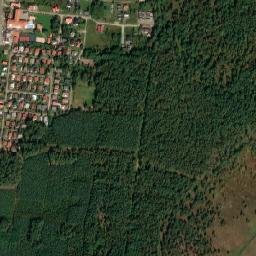 Satelita