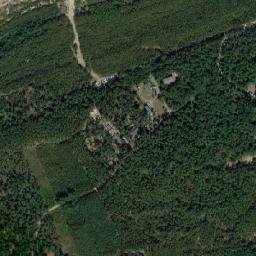 Satelita