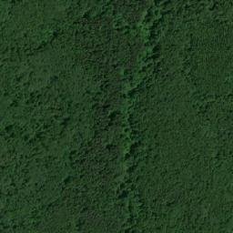 Ferzikovskiy Rayon map(satellite map)
