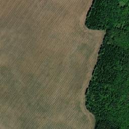 Leninogorskiy Rayon map(satellite map)