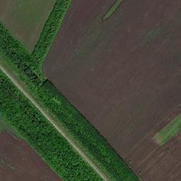 Buzdyakskiy Rayon map(satellite map)