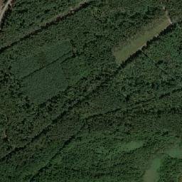 Satelita
