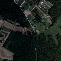 Satelita