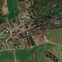 Satelita