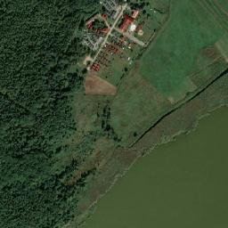 Satelita
