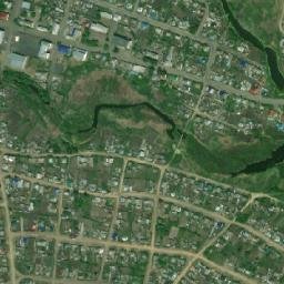 Tselinnoye map(satellite map)