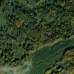 Maslyaninskiy Rayon map(satellite map)
