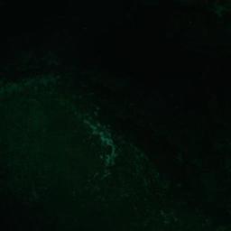 Satellite view of Orther Bucht