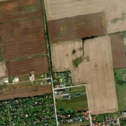 Satelita