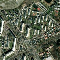 Satelita