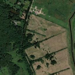 Satelita