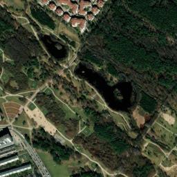 Satelita