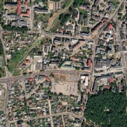 Alytus map(satellite map)