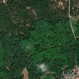 Satelita