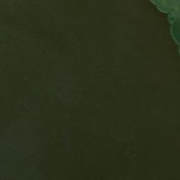 Satelita