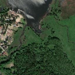 Satelita