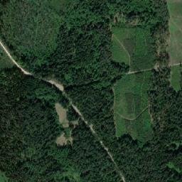 Satelita