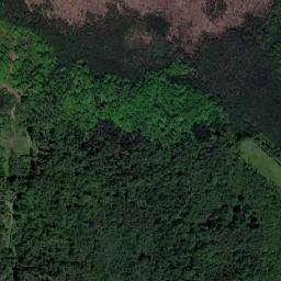 Satelita
