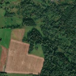 Satelita