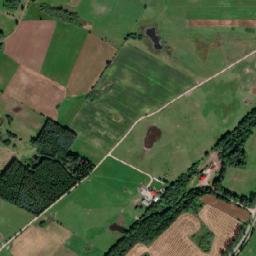 Satelita