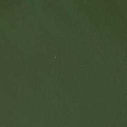 Satelita