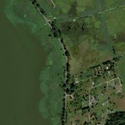 Satelita
