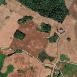 Satelita