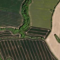 Wangels map(satellite map)