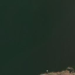 Satelita