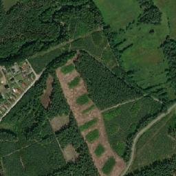Satelita