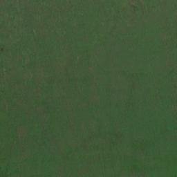 Cherdaklinskiy Rayon map(satellite map)