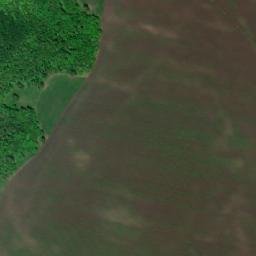 Bavlinskiy Rayon map(satellite map)