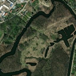 Satelita