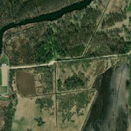 Satelita