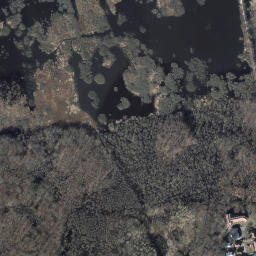 Satelita