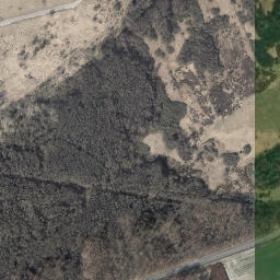 Satelita