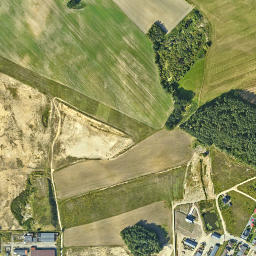 Satelita