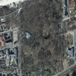 Satelita