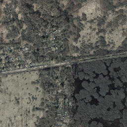 Satelita
