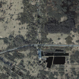 Satelita