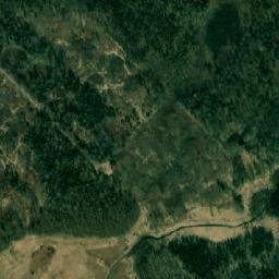 Satelita