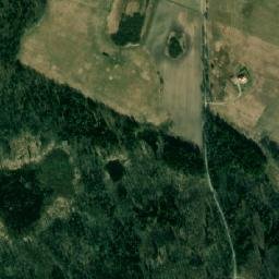Satelita