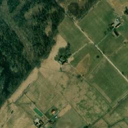 Satelita