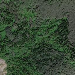 Koshurnikovo map(satellite map)
