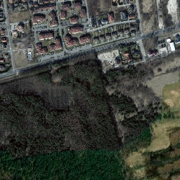 Satelita