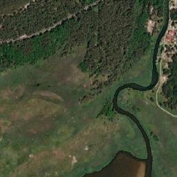 Satelita