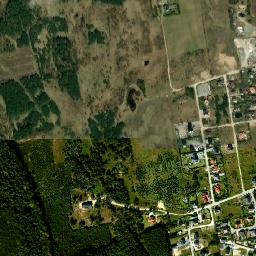 Satelita