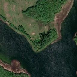 Satelita